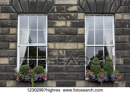 Stock Photograph - A stone wall with two windows and flowers and plants in a window sill box; Edinburgh, Scotland. Fotosearch