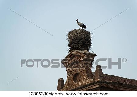 A stork in it's nest on a rooftop in downtown Alcala de Henares, a historical and charming city near to Madrid; Alcala de Henares, Spain View Large Photo Image Stock Photograph - A stork in it's nest on a rooftop in downtown Alcala de Henares, a historical and charming city near to Madrid; Alcala de Henares, Spain. Fotosearch