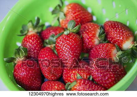 A strainer full of fresh strawberries View Large Photo Image Stock Photograph - A strainer full of fresh strawberries. Fotosearch