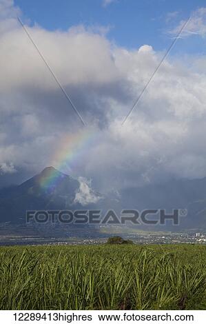 A sunny rainbow over Wailuku; Maui, Hawaii, United States of America View Large Photo Image Stock Photograph - A sunny rainbow over Wailuku; Maui, Hawaii, United States of America. Fotosearch