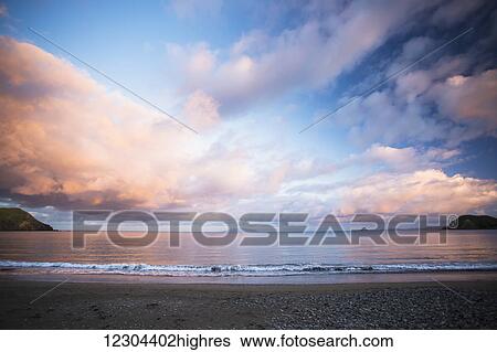 A sunset on a northern Coromandel beach of Port Jackson; Waikato, New Zealand View Large Photo Image Stock Photograph - A sunset on a northern Coromandel beach of Port Jackson; Waikato, New Zealand. Fotosearch