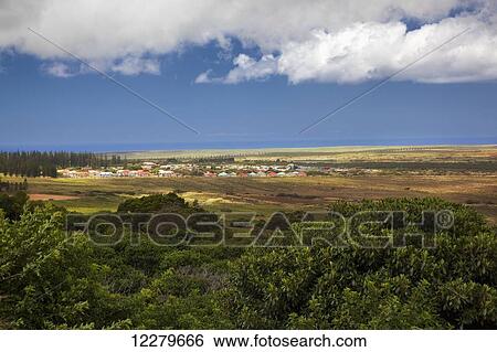A view of Lanai City; Lanai, Hawaii, United States of America View Large Photo Image Stock Photograph - A view of Lanai City; Lanai, Hawaii, United States of America. Fotosearch