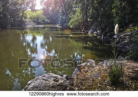 A view of the Jordan River south of the Galilee; Israel View Large Photo Image Stock Photograph - A view of the Jordan River south of the Galilee; Israel. Fotosearch