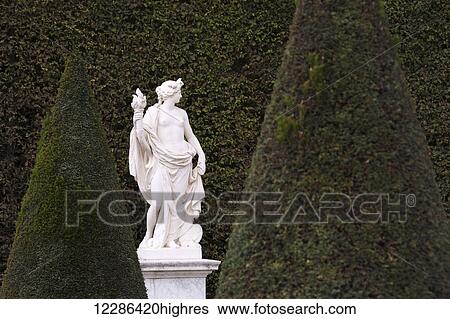 A white marble statue is shown against the green of a tall hedge in the gardens of Versailles; Paris, France View Large Photo Image Stock Photograph - A white marble statue is shown against the green of a tall hedge in the gardens of Versailles; Paris, France. Fotosearch