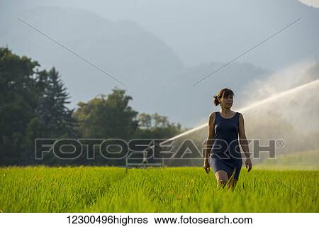 Stock Photograph - A woman walks through a lush green field with a sprinkler spraying behind her; Ascona, Ticino, Switzerland. Fotosearch