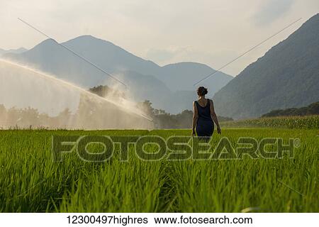 Stock Photograph - A woman walks through a lush green field with a sprinkler spraying; Ascona, Ticino, Switzerland. Fotosearch