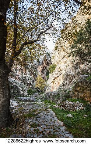 Stock Photograph - A worn and overgrown path in ancient Greece; Delphi, Greece. Fotosearch