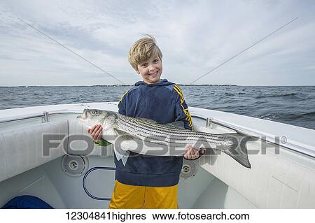 A young boy holds a large Striped Bass on a fishing boat off the Atlantic coast; Boston, Massachusetts, United States of America View Large Photo Image Stock Photograph - A young boy holds a large Striped Bass on a fishing boat off the Atlantic coast; Boston, Massachusetts, United States of America. Fotosearch