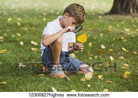 A young boy using a magnifying glass in a park; Edmonton, Alberta, Canada View Large Photo Image Stock Photograph - A young boy using a magnifying glass in a park; Edmonton, Alberta, Canada. Fotosearch