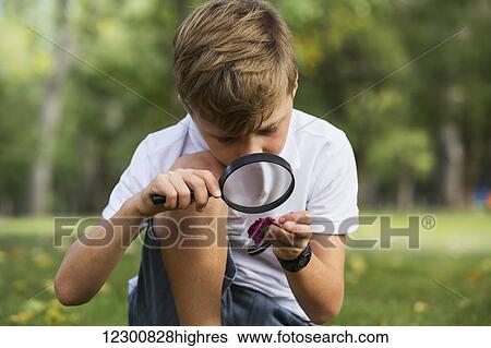 A young boy using a magnifying glass in a park; Edmonton, Alberta, Canada View Large Photo Image Stock Photograph - A young boy using a magnifying glass in a park; Edmonton, Alberta, Canada. Fotosearch