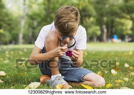 A young boy using a magnifying glass in a park; Edmonton, Alberta, Canada View Large Photo Image Stock Photograph - A young boy using a magnifying glass in a park; Edmonton, Alberta, Canada. Fotosearch