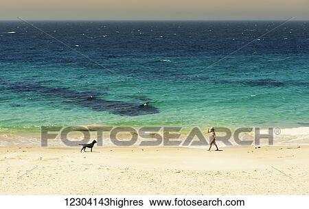 Stock Photograph - A young woman walks on the beach of the mediterranean sea with her dog; Tarifa, Cadiz, Andalusia, Spain. Fotosearch