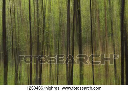 Abstract of a forest with green tree trunks; Ontario, Canada View Large Photo Image Stock Photograph - Abstract of a forest with green tree trunks; Ontario, Canada. Fotosearch