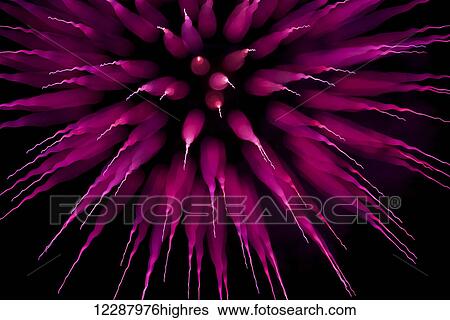 Abstract purple firework burst using focus pull; Twickenham, England View Large Photo Image Stock Photograph - Abstract purple firework burst using focus pull; Twickenham, England. Fotosearch