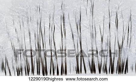 Abstract trees with motion blur; Alberta, Canada View Large Photo Image Stock Photograph - Abstract trees with motion blur; Alberta, Canada. Fotosearch