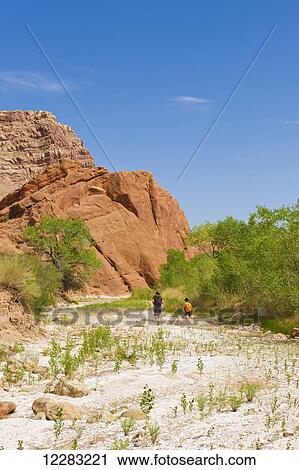 Adventurers exploring a desert canyon narrows, Capitol Reef National Park; Utah, United States of America View Large Photo Image Stock Image - Adventurers exploring a desert canyon narrows, Capitol Reef National Park; Utah, United States of America. Fotosearch
