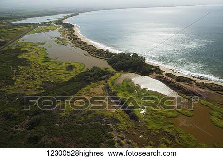 Aerial view of Kealia Pond National Wildlife Refuge and brackish ponds, home to endangered Hawaiian Birds; Maui, Hawaii, United States of America View Large Photo Image Stock Photograph - Aerial view of Kealia Pond National Wildlife Refuge and brackish ponds, home to endangered Hawaiian Birds; Maui, Hawaii, United States of America. Fotosearch