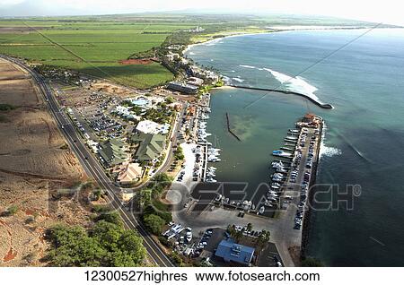 Aerial view of Ma'alaea harbor, whale watching charter boats, Maui Ocean Center Aquarium, Sugar Beach and sugar cane fields in the background; Maui, Hawaii, United States of America View Large Photo Image Stock Photograph - Aerial view of Ma'alaea harbor, whale watching charter boats, Maui Ocean Center Aquarium, Sugar Beach and sugar cane fields in the background; Maui, Hawaii, United States of America. Fotosearch