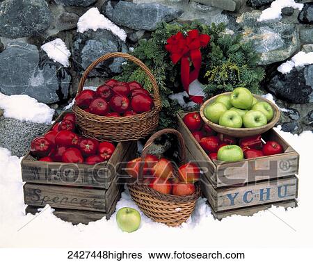 Agriculture - Still life in the snow of Red Delicious, Granny Smith and Braeburn apples / Washington, USA. View Large Photo Image Stock Photograph - Agriculture - Still life in the snow of Red Delicious, Granny Smith and Braeburn apples / Washington, USA.. Fotosearch