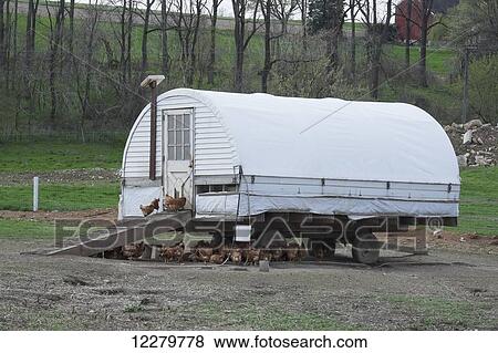Stock Photo - Amish chicken house with Road Island Red chickens; Lancaster, Pennsylvania, United States of America. Fotosearch