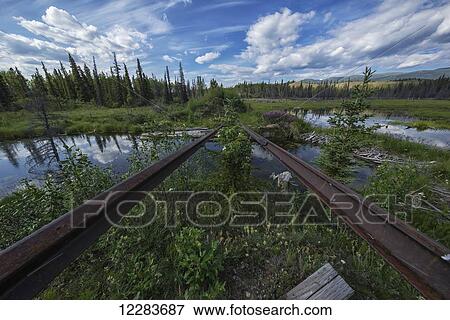 Stock Photo - An abandoned piece of railroad track that used to carry the Yukon Pass and White Route trains through the Yukon; Yukon, Canada. Fotosearch