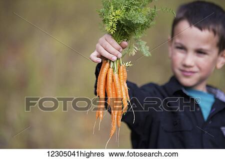 An Alaska native inipiat boy holding carrots from a garden in Palmer, Southcentral Alaska, autumn View Large Photo Image Stock Photograph - An Alaska native inipiat boy holding carrots from a garden in Palmer, Southcentral Alaska, autumn. Fotosearch