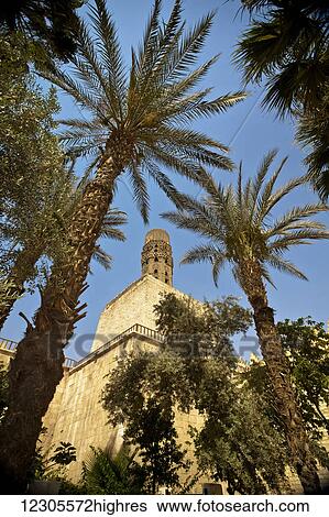 Stock Photograph - An ancient mud and brick minaret framed by date palms; Cairo, Egypt. Fotosearch