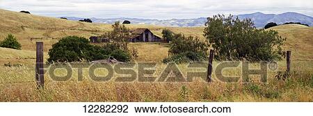 An old barn sits amid tall grasses and fences with mountains and a cloudy sky in the background, Central Valley; Hornitos, California, United States of America View Large Photo Image Stock Image - An old barn sits amid tall grasses and fences with mountains and a cloudy sky in the background, Central Valley; Hornitos, California, United States of America. Fotosearch