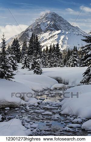 An open creek with snow covered curvy banks, filled with snow covered rocks and snow covered trees with snow covered mountain, blue sky and clouds in the background; Kananaskis Country, Alberta, Canada View Large Photo Image Stock Photograph - An open creek with snow covered curvy banks, filled with snow covered rocks and snow covered trees with snow covered mountain, blue sky and clouds in the background; Kananaskis Country, Alberta, Canada. Fotosearch
