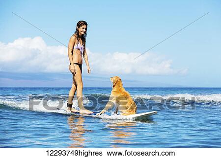 Attractive Young Woman Surfing with her Dog. Riding Wave Together in Ocean. Surfing Dog. View Large Photo Image Stock Photograph - Attractive Young Woman Surfing with her Dog. Riding Wave Together in Ocean. Surfing Dog.. Fotosearch