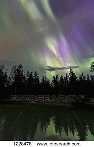 Aurora Borealis, Northern Lights, Mendenhall Lake, Tongass National Forest; Alaska, United States of America View Large Photo Image Stock Image - Aurora Borealis, Northern Lights, Mendenhall Lake, Tongass National Forest; Alaska, United States of America. Fotosearch
