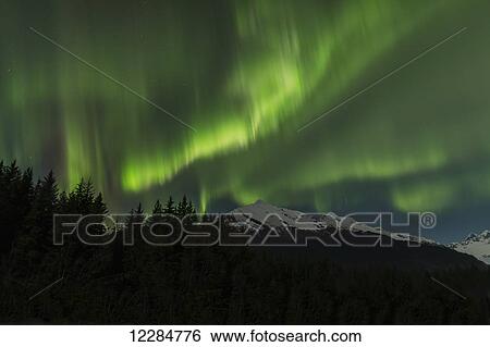 Stock Photograph - Aurora Borealis, Northern Lights, Tongass National Forest; Alaska, United States of America. Fotosearch