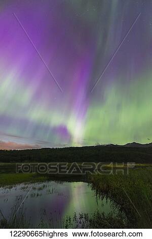 Stock Photograph - Aurora borealis over Potter Marsh in the Anchorage Coastal Wildlife Refuge, Alaska. Fotosearch