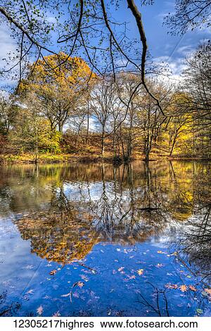 Stock Photograph - Autumn coloured foliage around Richmond Lake, Cloves Lake Park; Staten Island, New York, United States of America. Fotosearch