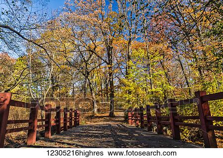 Stock Photograph - Autumn coloured foliage in Clove Lakes Park; Staten Island, New York, United States of America. Fotosearch