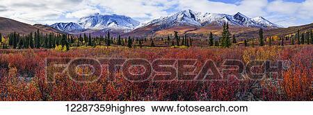 Stock Photograph - Autumn colours brighten the landscape in Tombstone territorial Park, along the Dempster highway; Yukon, Canada. Fotosearch