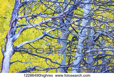 Stock Photograph - Autumn foliage on trees in Sierra Nevada; Bishop, California, United States of America. Fotosearch