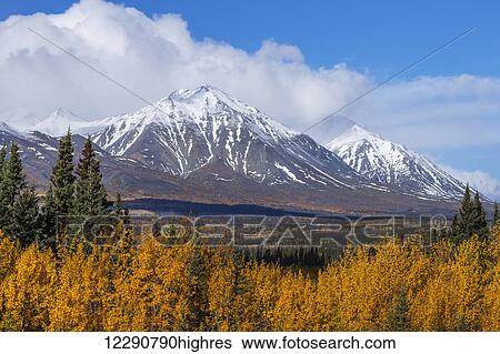 Autumn scenic along the Alaska Highway, Kluane National Park, St. Elias Mountains, Yukon Territory, Canada View Large Photo Image Stock Photograph - Autumn scenic along the Alaska Highway, Kluane National Park, St. Elias Mountains, Yukon Territory, Canada. Fotosearch