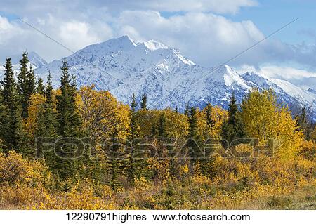 Autumn scenic along the Alaska Highway, Kluane National Park, St. Elias Mountains, Yukon Territory, Canada View Large Photo Image Stock Photograph - Autumn scenic along the Alaska Highway, Kluane National Park, St. Elias Mountains, Yukon Territory, Canada. Fotosearch