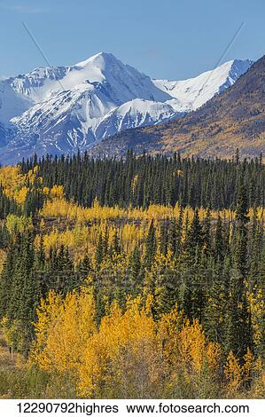 Stock Photograph - Autumn scenic along the Alaska Highway, Kluane National Park, St. Elias Mountains, Yukon Territory, Canada. Fotosearch