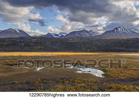 Autumn scenic along the Haines Highway near the headwaters of the Tatshenshini River, Alsek-Tatshenshini Wilderness, Canada View Large Photo Image Stock Photograph - Autumn scenic along the Haines Highway near the headwaters of the Tatshenshini River, Alsek-Tatshenshini Wilderness, Canada. Fotosearch