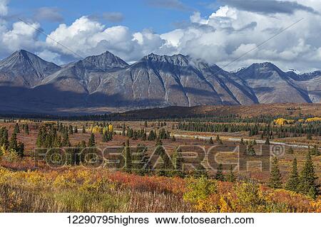 Autumn scenic along the Haines Highway near Nadahini Creek and Mt. Kelsall, Yukon Territory, Canada View Large Photo Image Stock Photograph - Autumn scenic along the Haines Highway near Nadahini Creek and Mt. Kelsall, Yukon Territory, Canada. Fotosearch