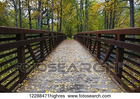 Stock Photograph - Autumn view of a bridge across Campbell Creek, Anchorage, Southcentral Alaska. Fotosearch