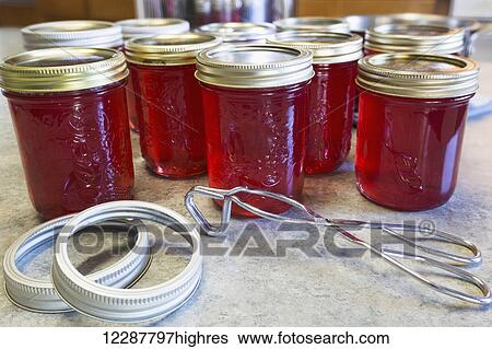 Batch of crab apple jelly; Chilliwack, British Columbia, Canada View Large Photo Image Stock Photograph - Batch of crab apple jelly; Chilliwack, British Columbia, Canada. Fotosearch