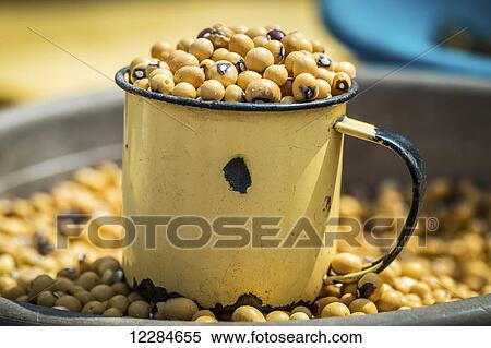 Stock Photography - Beans in a cup and bowl; Maun, Botswana, Africa. Fotosearch