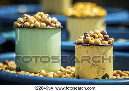 Picture - Beans in cups and bowls; Maun, Botswana, Africa. Fotosearch