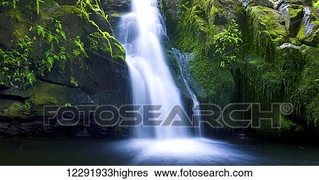 Stock Photograph - Beautiful Lush Waterfall. Fotosearch
