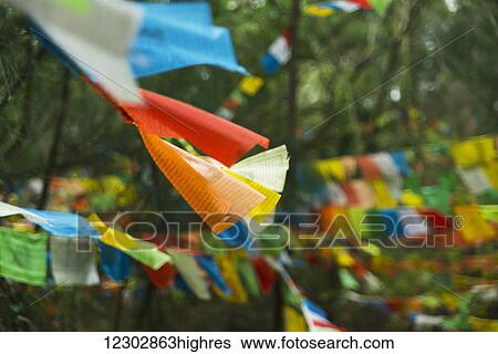 Stock Photograph - Beautiful tibetan flags in the forest; Xiamen, Fujian Province, China. Fotosearch