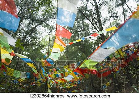 Stock Photograph - Beautiful tibetan flags in the forest; Xiamen, Fujian Province, China. Fotosearch