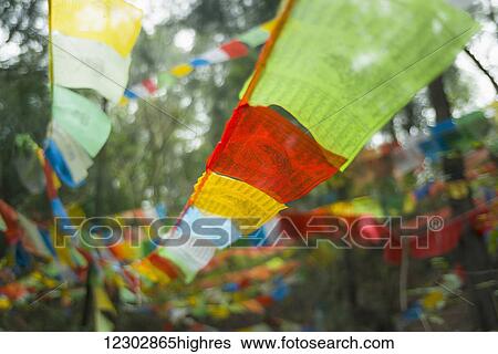 Stock Photograph - Beautiful tibetan flags in the forest; Xiamen, Fujian Province, China. Fotosearch
